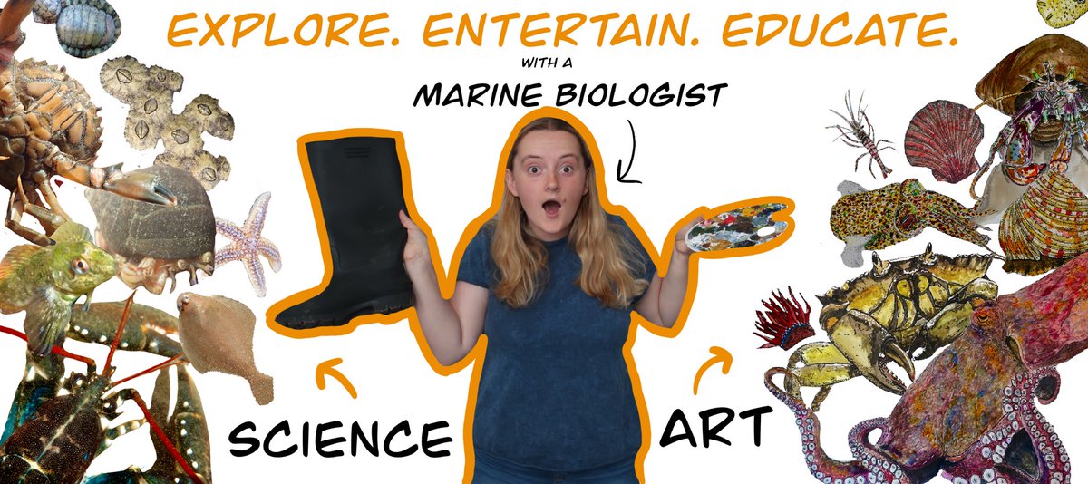 If you liked this then the best way to support me is to head over to my YouTube channel to subscribe, please! You’ll find more info, have more fun and get to explore rockpools with me every week! Here’s a link to the trailer and channel    #InverteFest