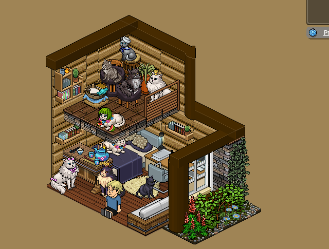 HobblePTBR's tweet photo. 🐶 RE: Um novo Lar 🏡 https://t.co/9mopmF5ZfD