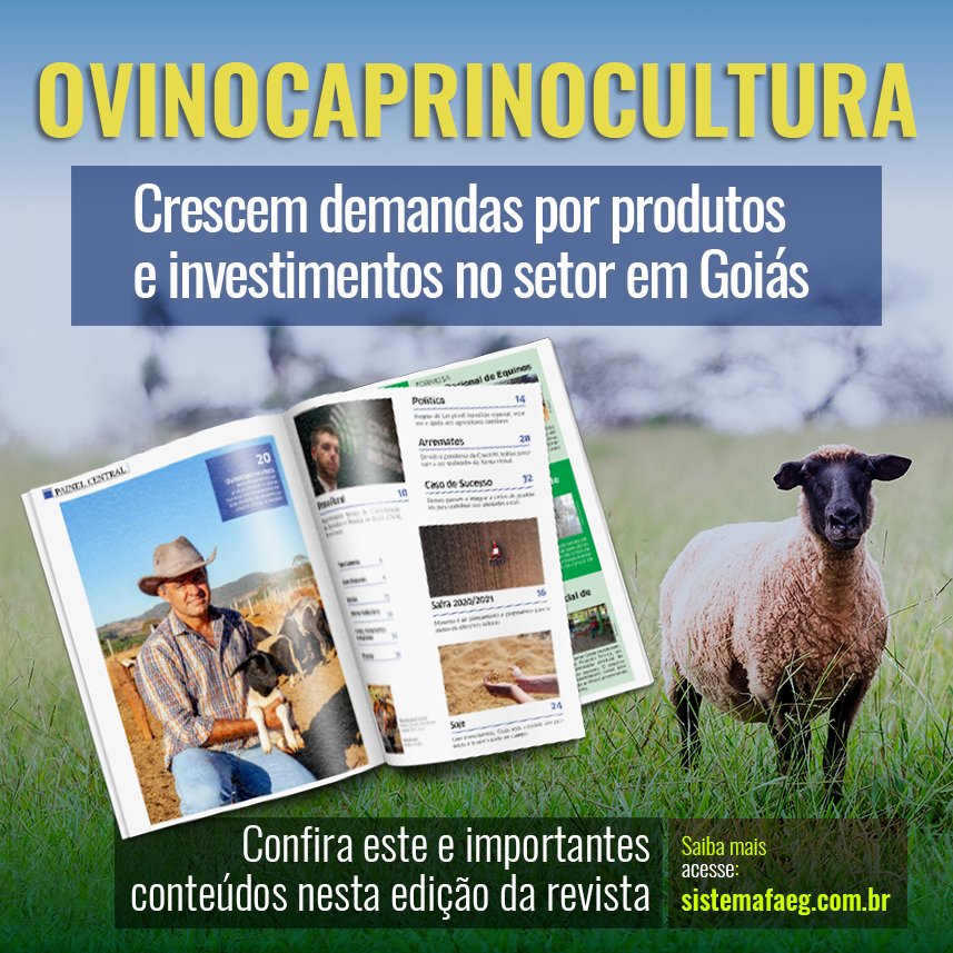 SistemaFaeg's tweet photo. A #RevistaCampo é a única especializada no agro em Goiás, e a cada mês traz grandes novidades das cadeias produtivas.

Veja importantes conteúdos para tomada de decisão do seu negócio rural. 

Acesse: https://t.co/RNMEzqyVAm

#RevistaCampo #Ovinocaprinocultura #Ovinocaprino https://t.co/lXreRrps7x