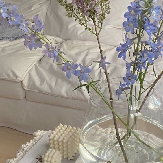 🤍 (@peonyfilms) on Twitter photo 