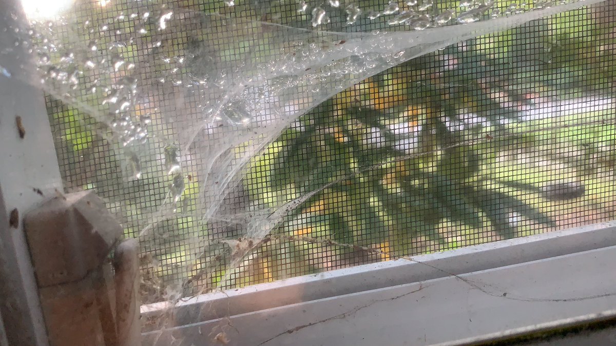 Bro.  Your web  might work better on the other side of the screen.