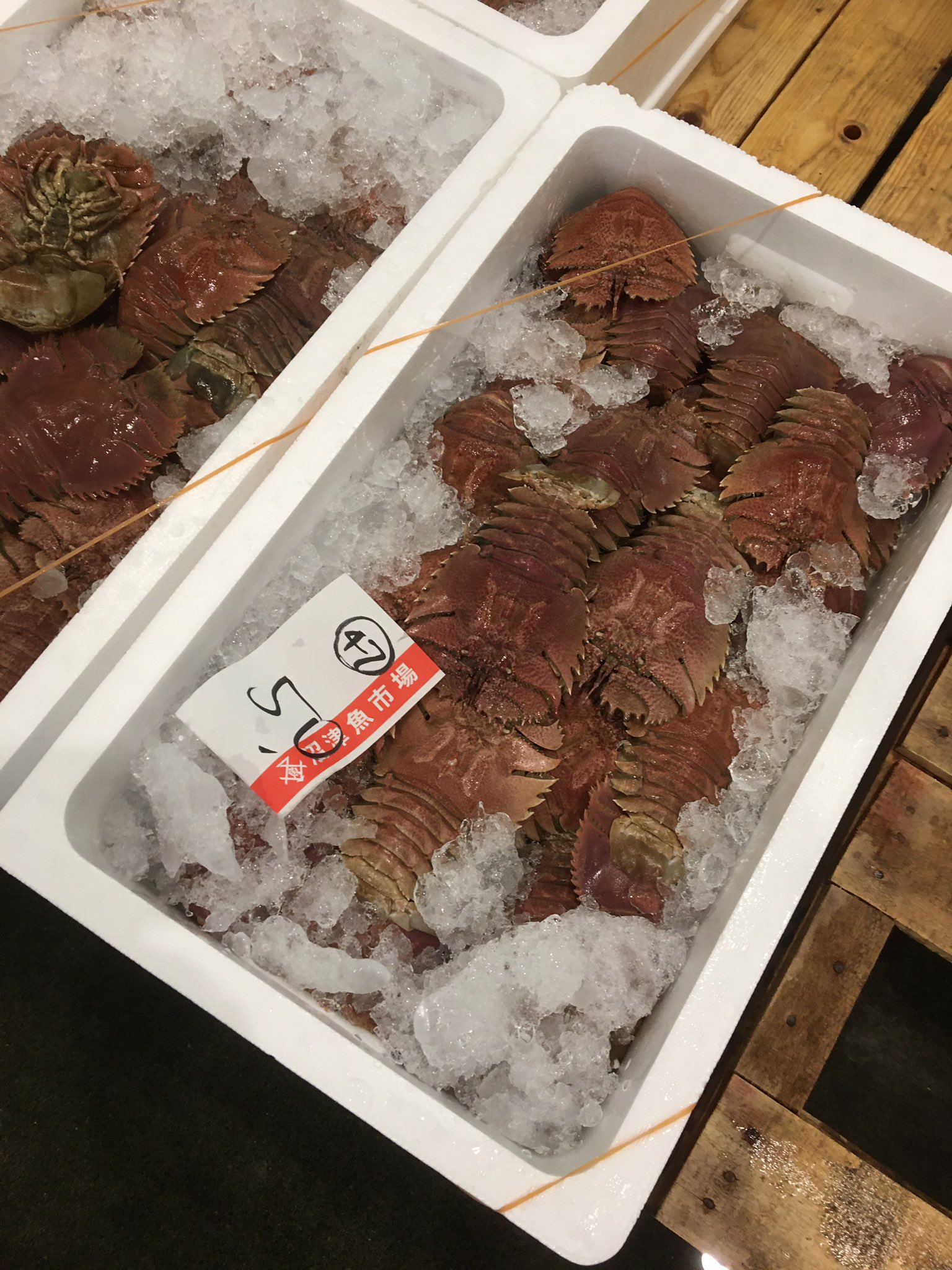 西浦ベース 久しぶりのウチワエビ 長崎産 正式にはオオバウチワエビ 落ちだから少し安いかな 沼津魚市場 T Co Keihg4b6su Twitter