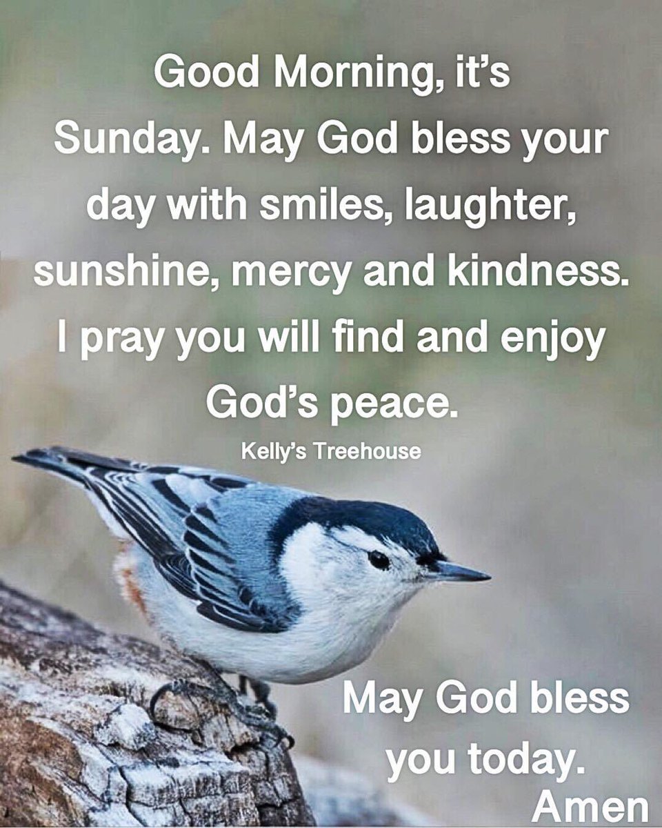 deborah_saffer's tweet photo. Amen ๐ #GodIsGood #UnapologicallyChristian #TrustingHisWill #Faith https://t.co/2TgpM1AjOq