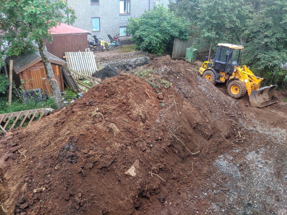 Náttúra Reykjavíkur (@natturarvk) on Twitter photo 