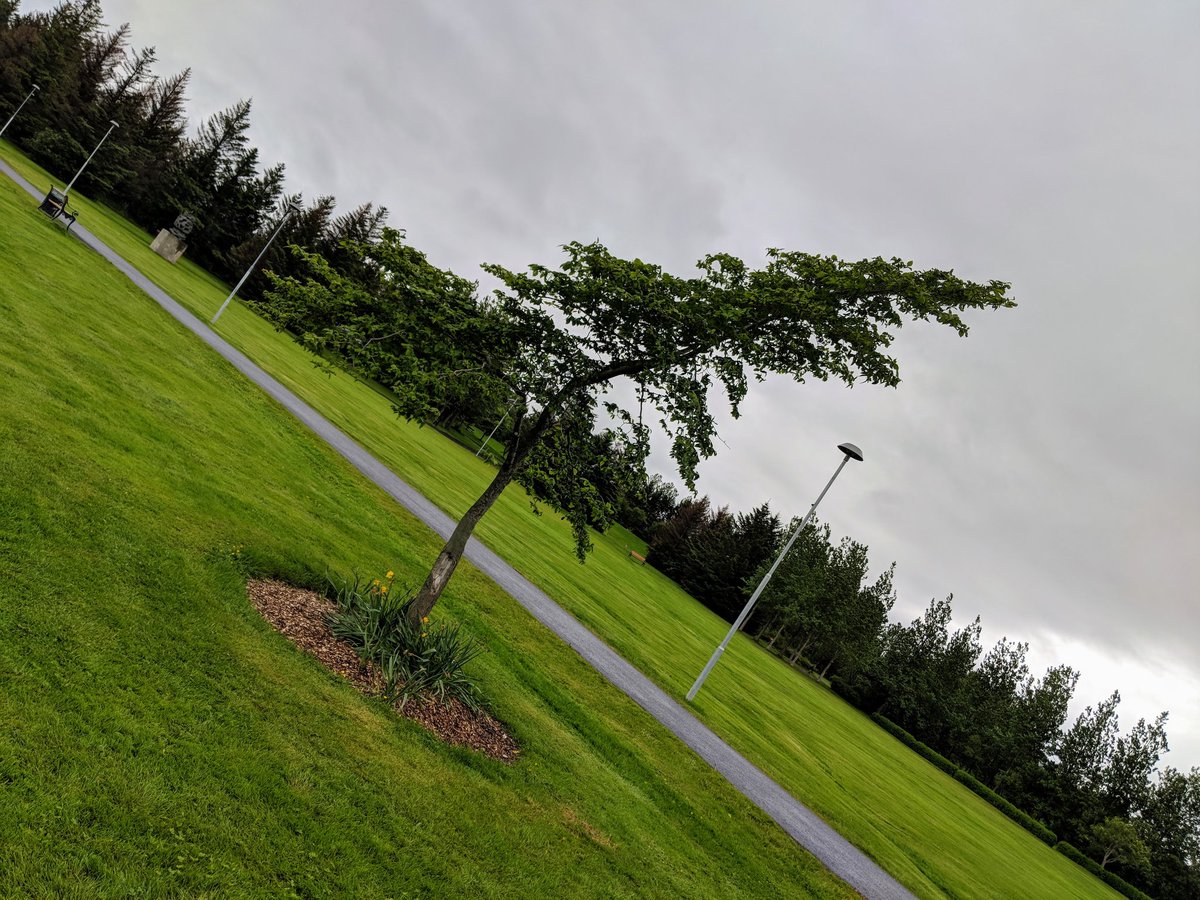 Náttúra Reykjavíkur (@natturarvk) on Twitter photo 