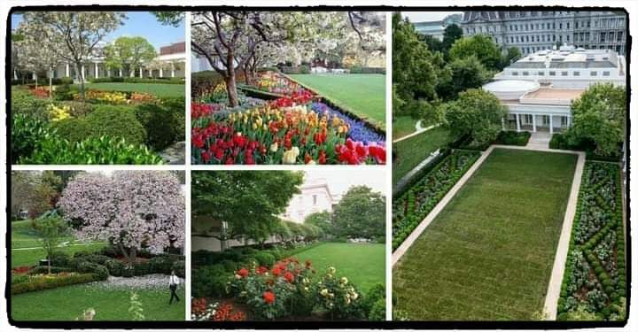 Doesn't this just make you SICK ?