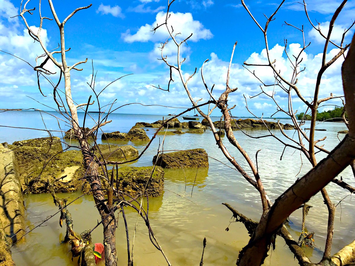 hammerclawmusic's tweet photo. Beach off Petrotrin. Bnw and color

#freelance #lumibee #snapseed #drytrees #processed #pxs #photoshopmobile #blacknwhite #blue #horizon #water #deserted #gulf #Rocky #edits #tree #chill #nikon #depth #trinidadandtobago #desert #CaribbeanSession #freelancing #mysterious #travel https://t.co/c6d1De1jYh
