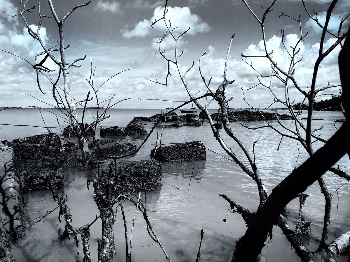 hammerclawmusic's tweet photo. Beach off Petrotrin. Bnw and color

#freelance #lumibee #snapseed #drytrees #processed #pxs #photoshopmobile #blacknwhite #blue #horizon #water #deserted #gulf #Rocky #edits #tree #chill #nikon #depth #trinidadandtobago #desert #CaribbeanSession #freelancing #mysterious #travel https://t.co/c6d1De1jYh