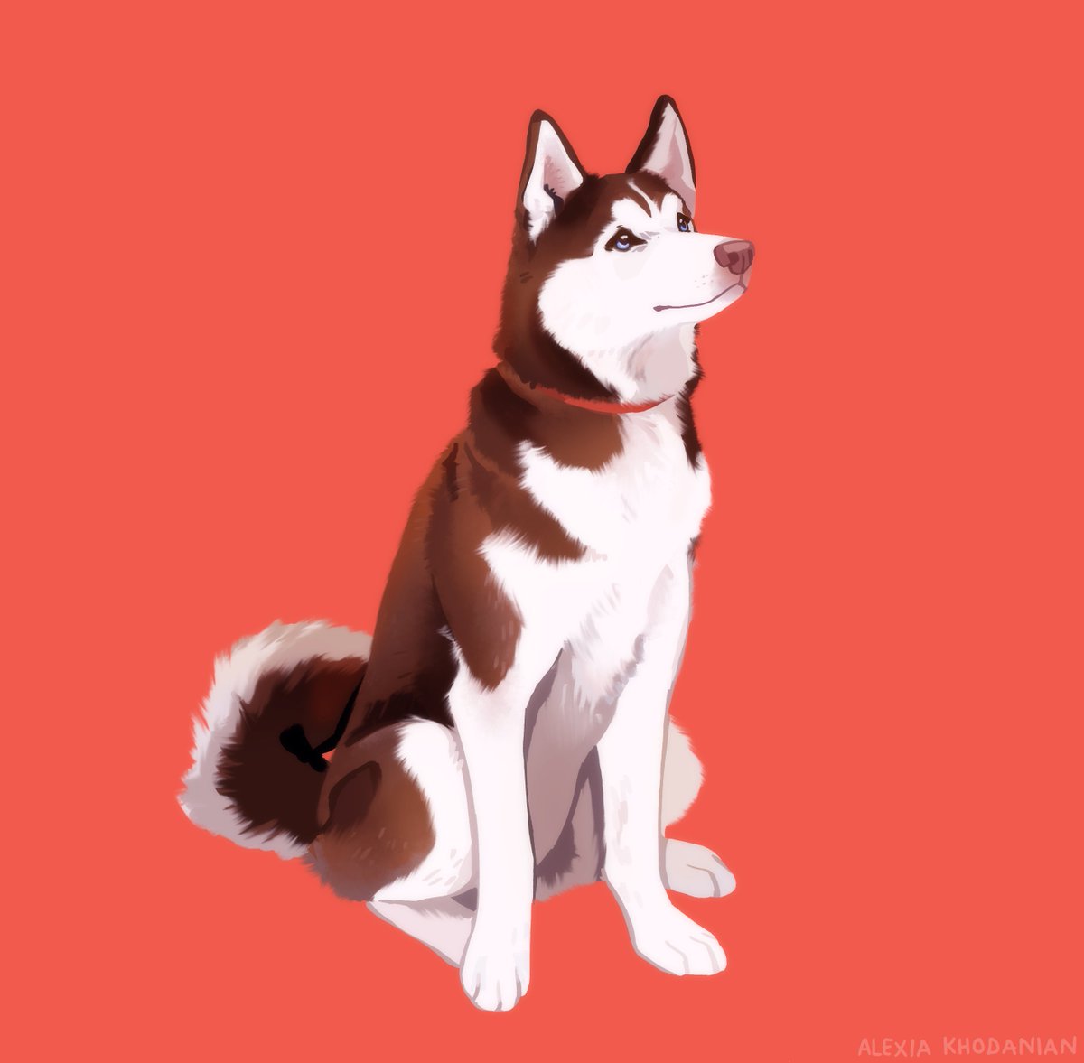  #doggust day 22: The Husky! What a popular lad! That's it for the backlog, now its up to present day alexia to finish doggust 2020 off strong!