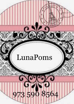LunaPoms's tweet image. LunaPoms