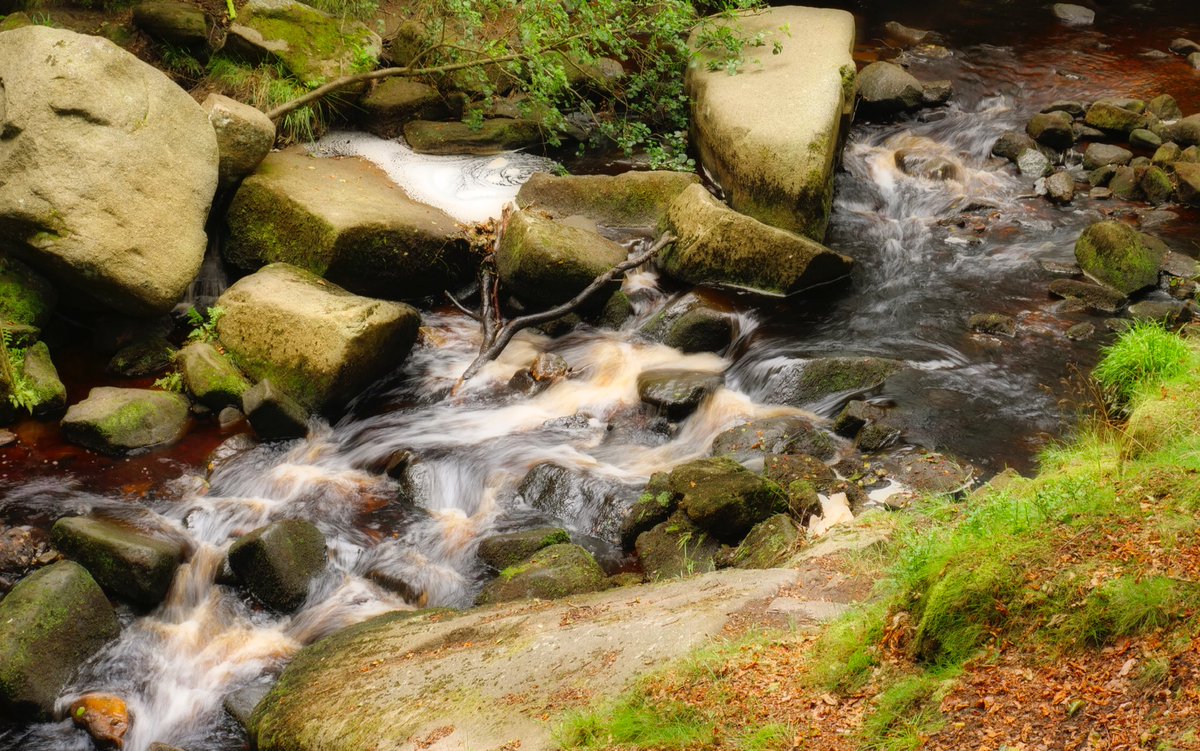 juliebugjules1's tweet photo. Woodland and waterfalls #peakdistrict #padleygorge https://t.co/RCaT2znWcq