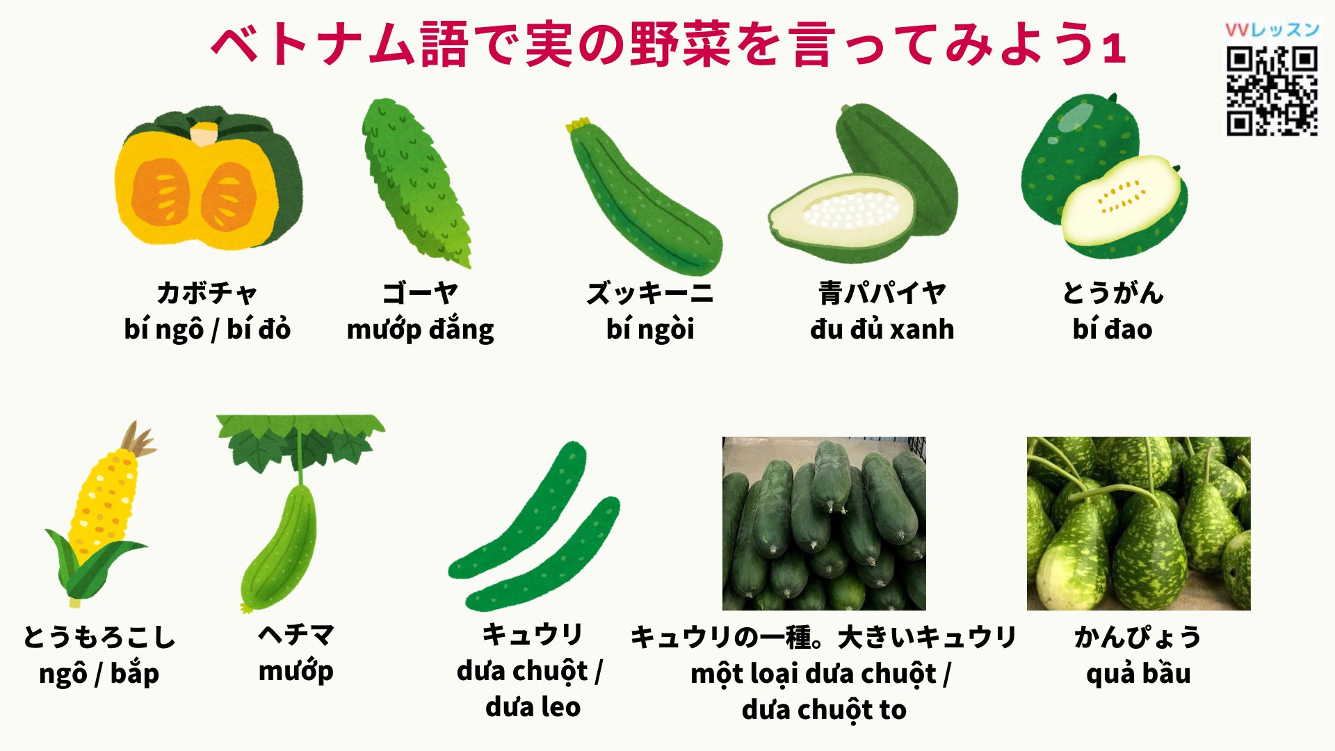 みんなのベトナム語 Vvレッスン Xin Chao ハノイ大学のマイです 今日は ベトナム語で実の野菜の名前を言ってみよう1 を紹介させていただきます スライドにはベトナムでよく食べられる実の野菜をまとめました 是非参考してくださいね ベトナム