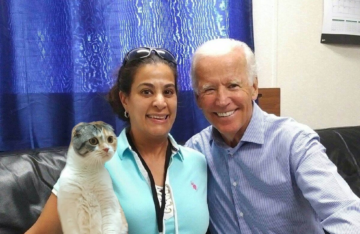  @JoeBiden has fought bullies his whole life as have I. Together we, and all  #voters who are willing to join this fight with us, will beat the biggest  #bully on Earth on November 3rd.  #ByeDon2020  #BuildBackBetter ( #BeyonceTheCat is photoshopped lest you all screech  #FakeNews)