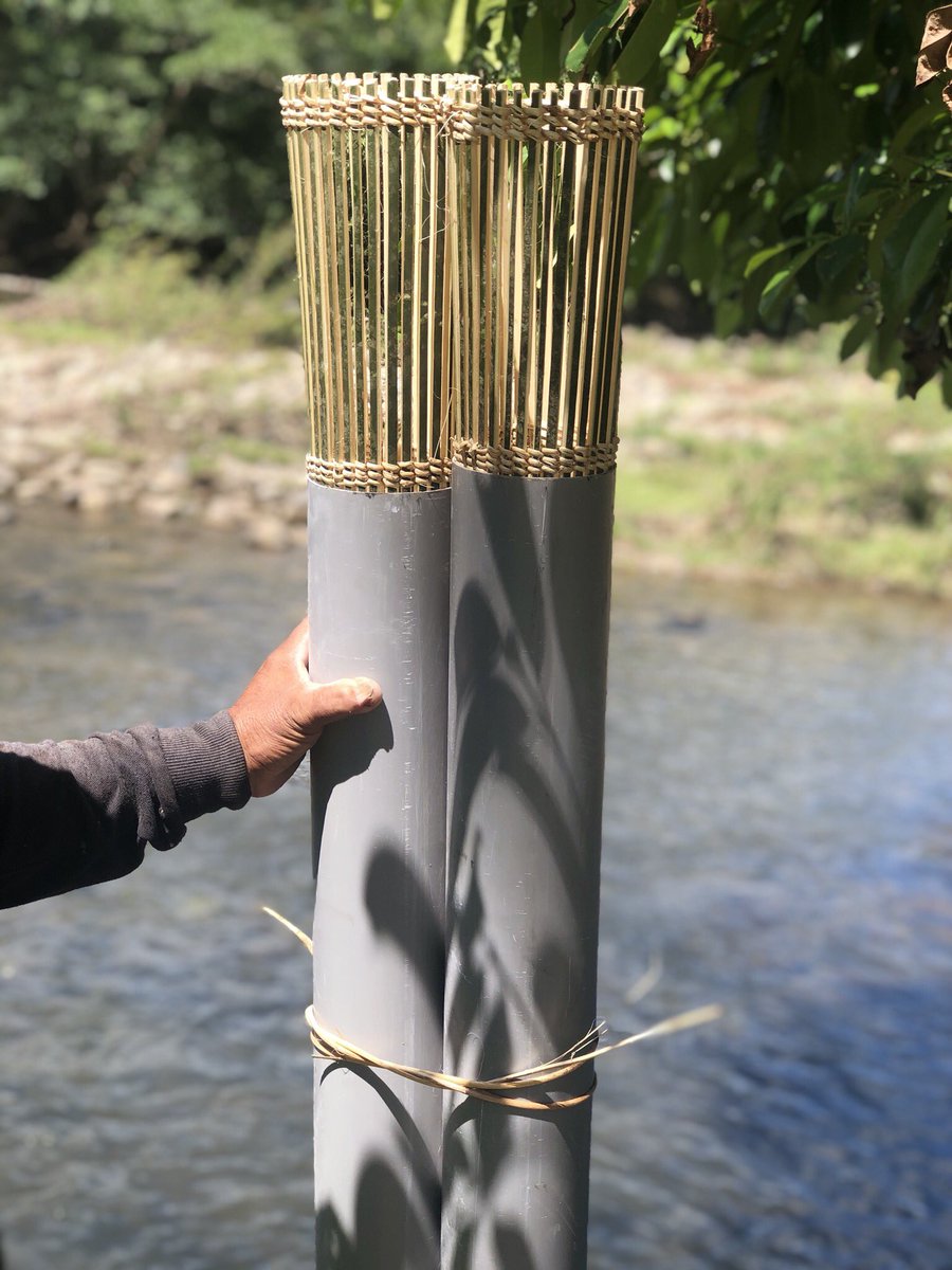 SManiah's tweet photo. The activities with lovely people for cathcing fish with the Bamboo #Bushcrafts called “Bangkala “ or ‘Bubu’. https://t.co/mzC4PTVswl
