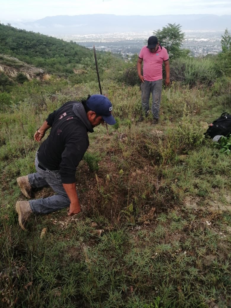 AlfonsoAngelVa2's tweet photo. Comprometidos con el medio ambiente hoy nos dimos a la tarea de reforestar el cerro del guayabal, en #SanAntoniodelaCal acompañados de niños, jovenes y adultos sembrando el futuro de las generaciones, al mismo tiempo invitamos a la ciudadanía a hacer conciencia y cuidar el mundo https://t.co/7C4Qapp8rC