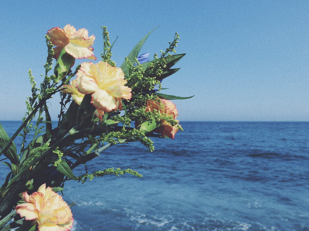 海と花束