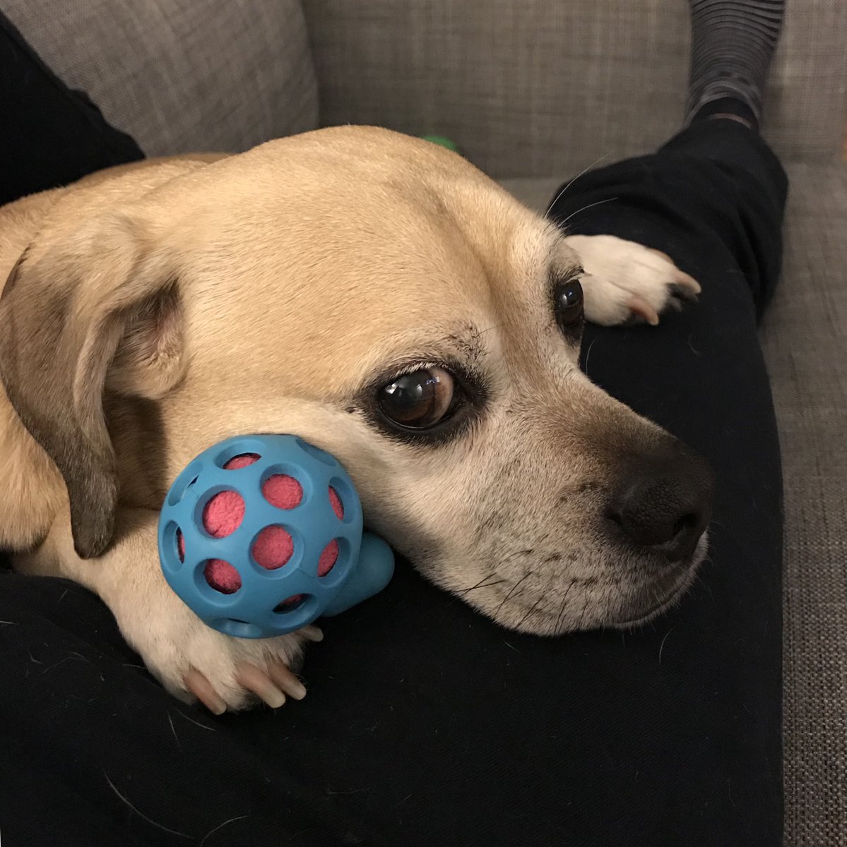 Dan Dickson tweet media