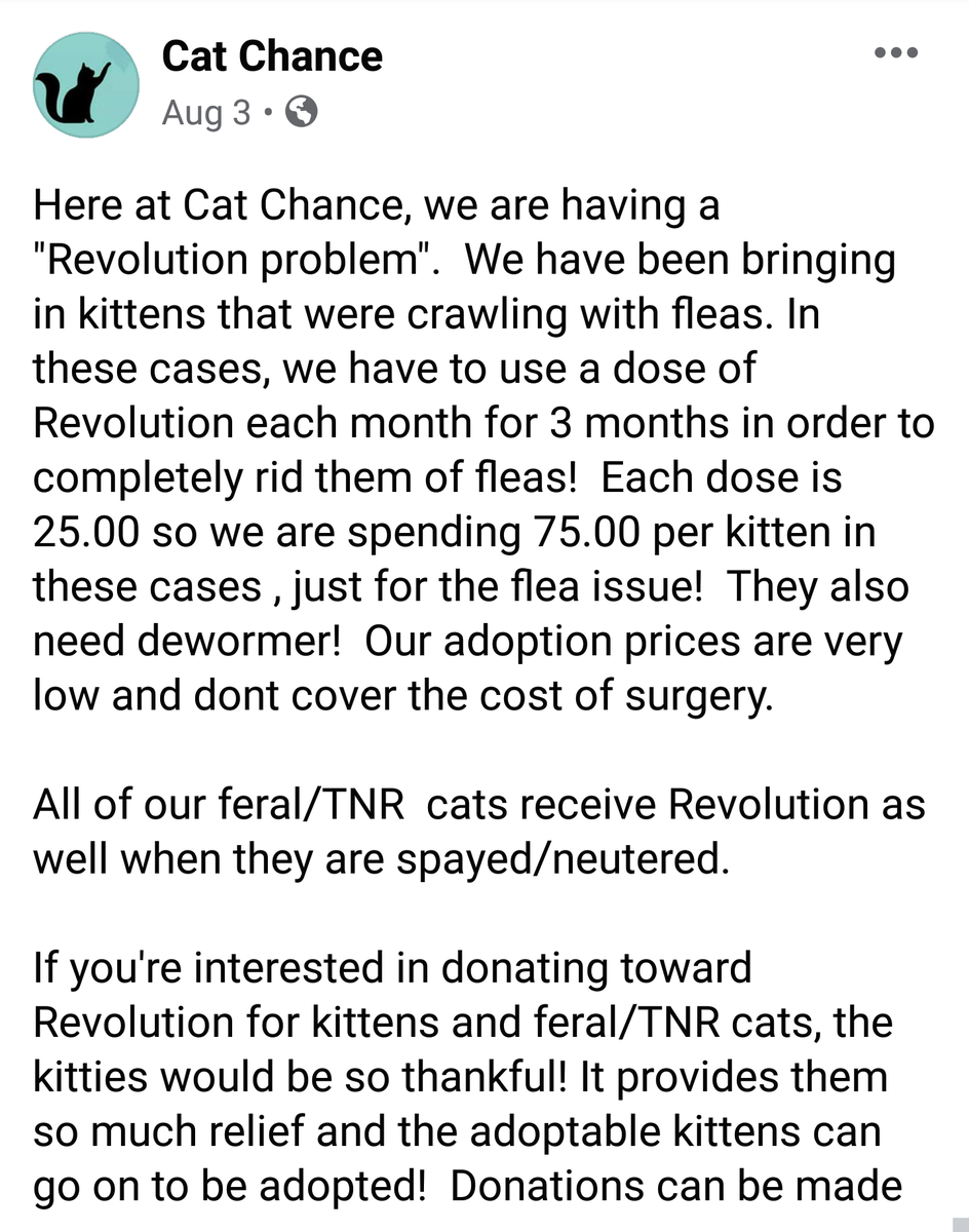 CatChanceSarnia's tweet photo. ⚠️PLEASE READ &amp; DONATE IF YOU CAN⚠️ Thank you. 🐱🐾 All of the information is in the pictures below ⤵️ https://t.co/DF4BkEy32v