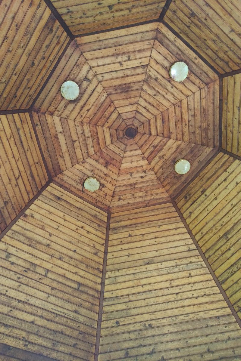 stephgray88's tweet photo. 3/3 I took in the pattern of the gazebo ceiling whilst at an outdoor visit at MIL's nursing home & looked up again in time to see a #dailyjet. Look up, look down, look all around. Love family, love friends. #bubbleofpositivity #karatelove #keepcalm #stilldoingthistogether #bekind https://t.co/TzfoaWhJAw