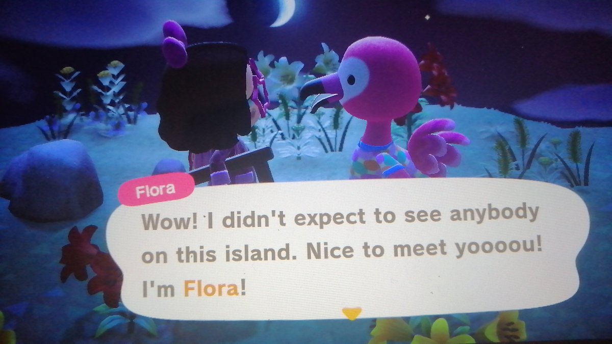 Island 33: Flora  Y'all can't comprehend how much I love this birdy!