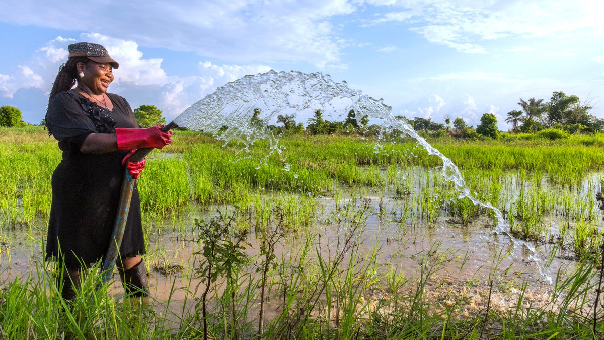 IFAD's tweet photo. Without water 💧 we wouldn't have food 🥑 ⠀
⠀
Rural farmers need water to grow the food that feeds their nations and to boost sustainable rural development. https://t.co/KTNt8dkHd6