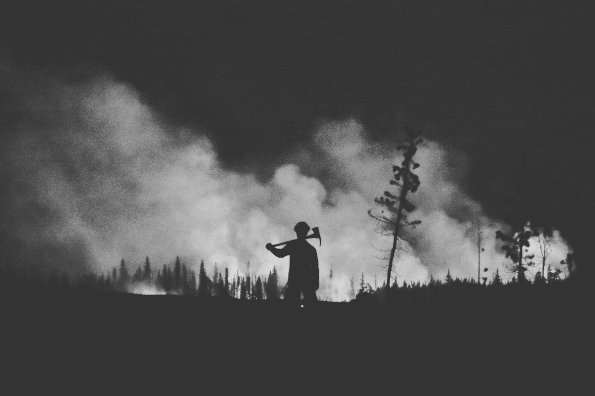 TheSmokeyGeneration tweet media