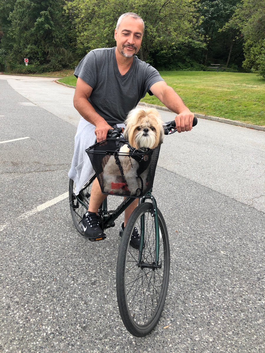 Next up we have Leo who has, without a doubt, a much nicer haircut than me. Leo of course is a basked dog, and was also spotted hanging out at beautiful, serene, safe, car-free Brockton Point. +