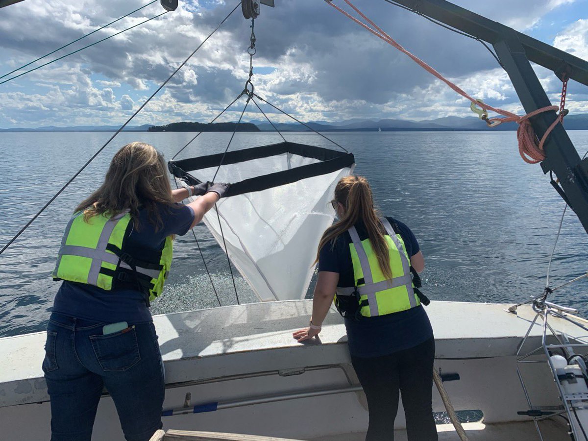 MysidQueen's tweet photo. It’s the most wonderful time of the year....

Had a blast sampling for the @GLEONetwork Global Collaborative Mysis Project!! #Mysis #LakeChamplain #smallyetpowerful #dayandnightsampling https://t.co/HhsXpFeMSc