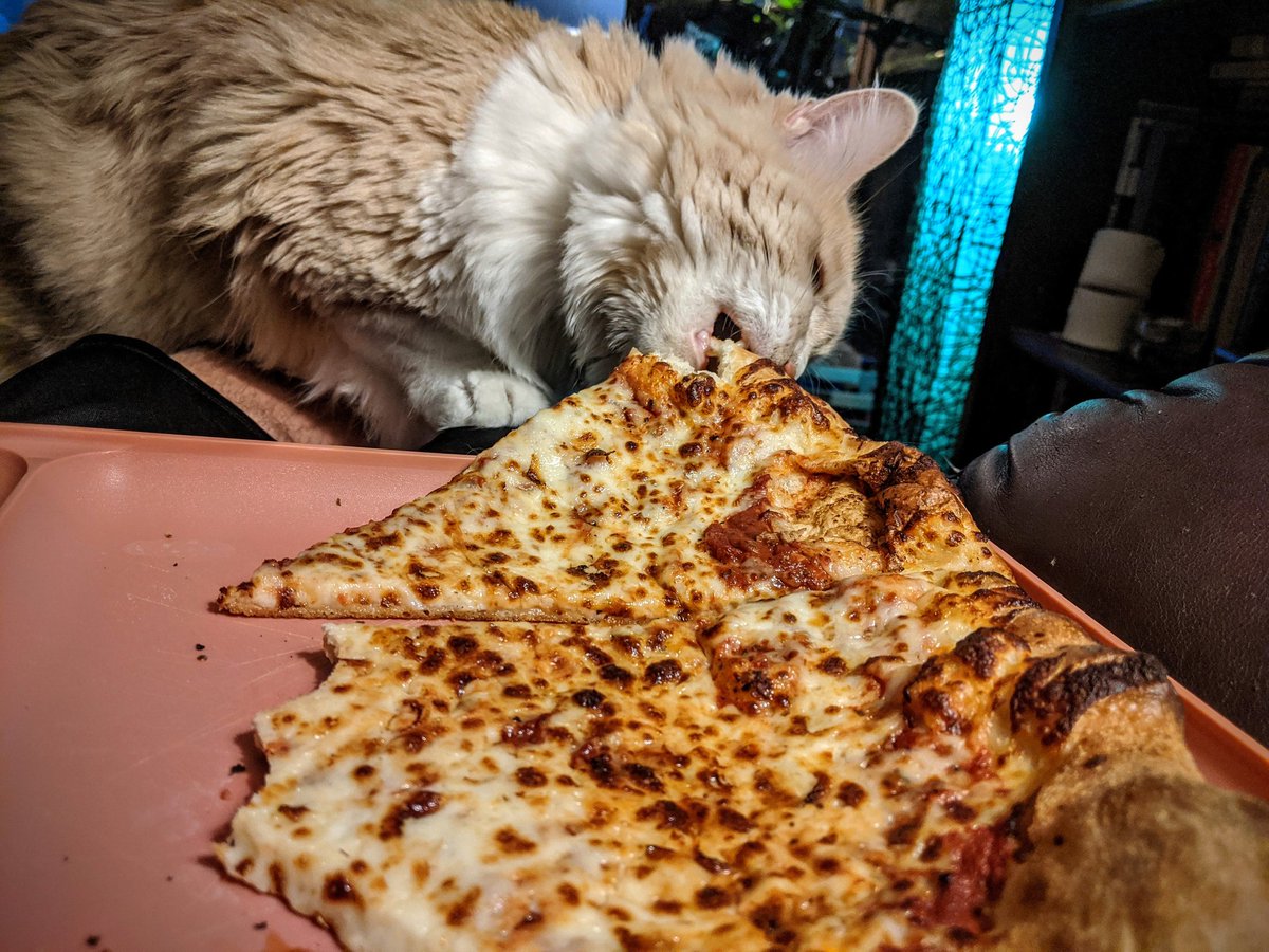 "NO KITTY, THAT'S A BAD KITTY, NO KITTY, IT'S MY PIZZA! MOMMM!!"