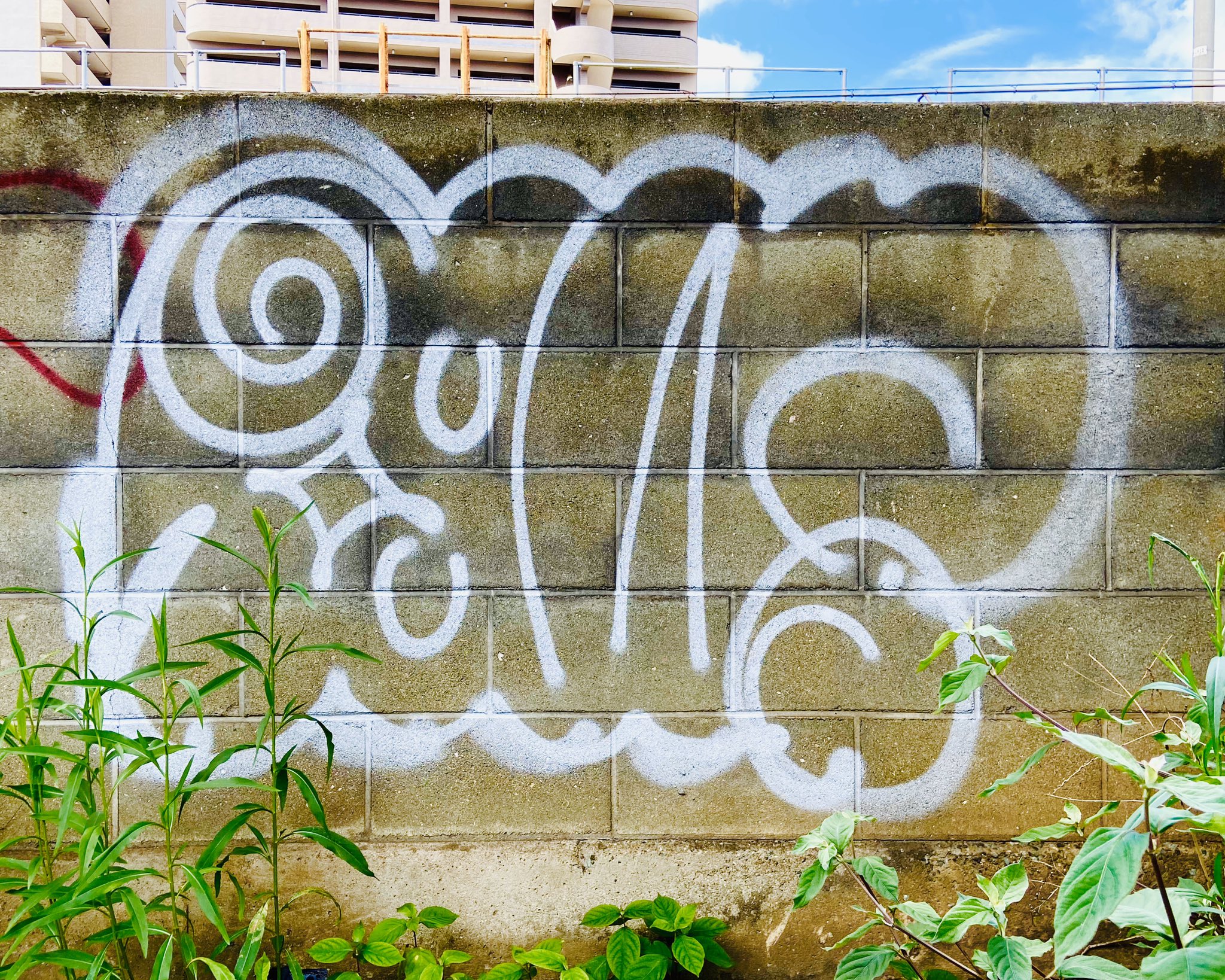 توییتر Rewall در توییتر 812 0016 福岡県福岡市博多区博多駅南3丁目27 17 福岡 福岡市博多区 落書き 落書きアート 福岡落書き 壁の落書き グラフィティー グラフィティーアート ウォールアート ウォールペインティング ストリート アート スプレー توییتر Rewall در توییتر 812 0016 福岡県福岡市博多区博多駅南3丁目27 17 福岡 福岡市博多区 落書き 落書きアート 福岡落書き 壁の落書き グラフィティー グラフィティーアート ウォールアート ウォールペインティング ストリート アート スプレー