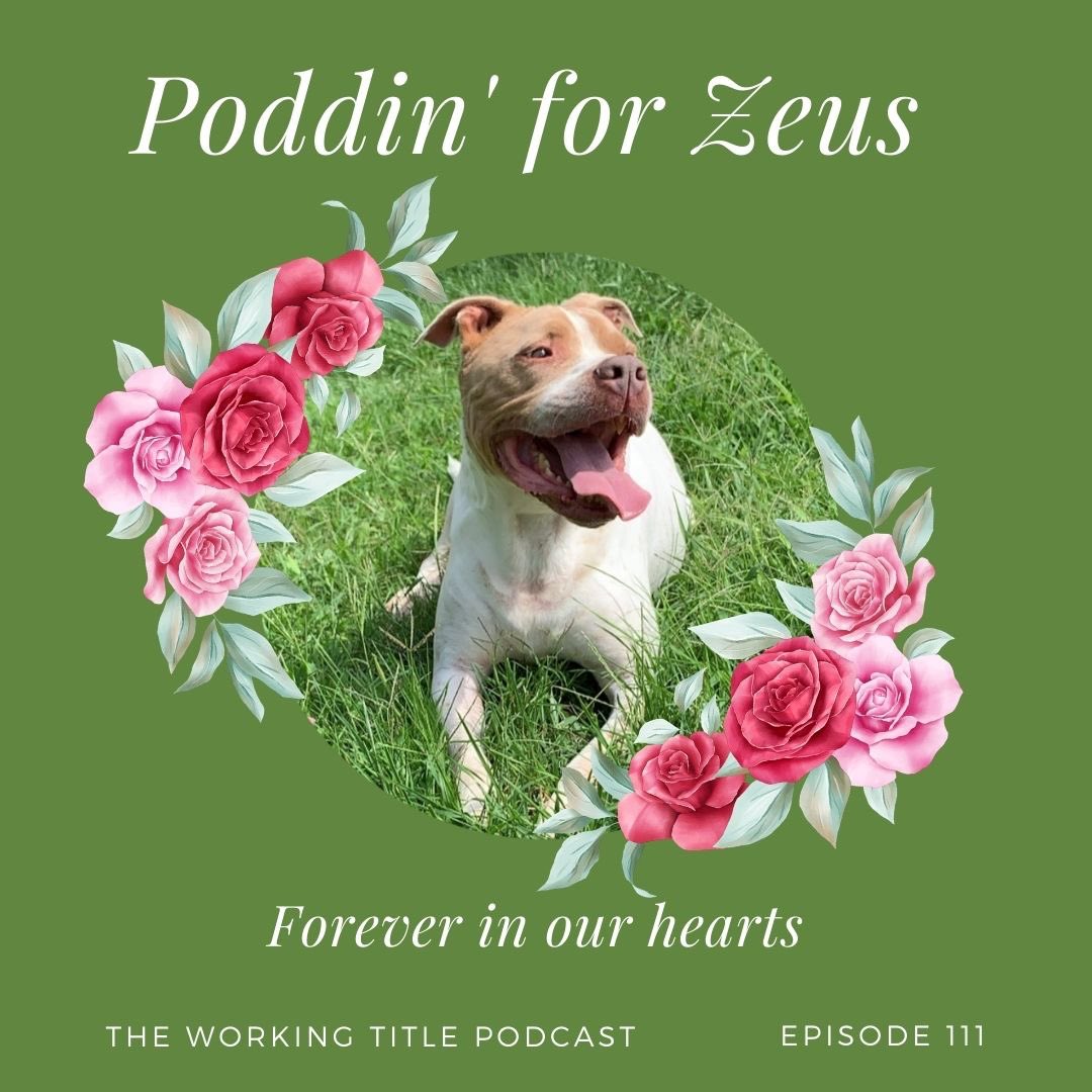 stillTaji's tweet image. We had to put my dog down today so my brothers decided to name the episode after him and I appreciate them. RIP Zeus, I love you forever and I love y’all niggas @WorkingTPod. ❤️