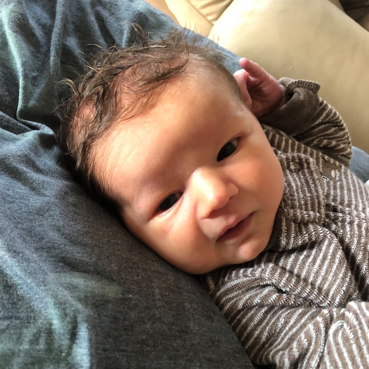 Ashtyn Dietiker tweet media