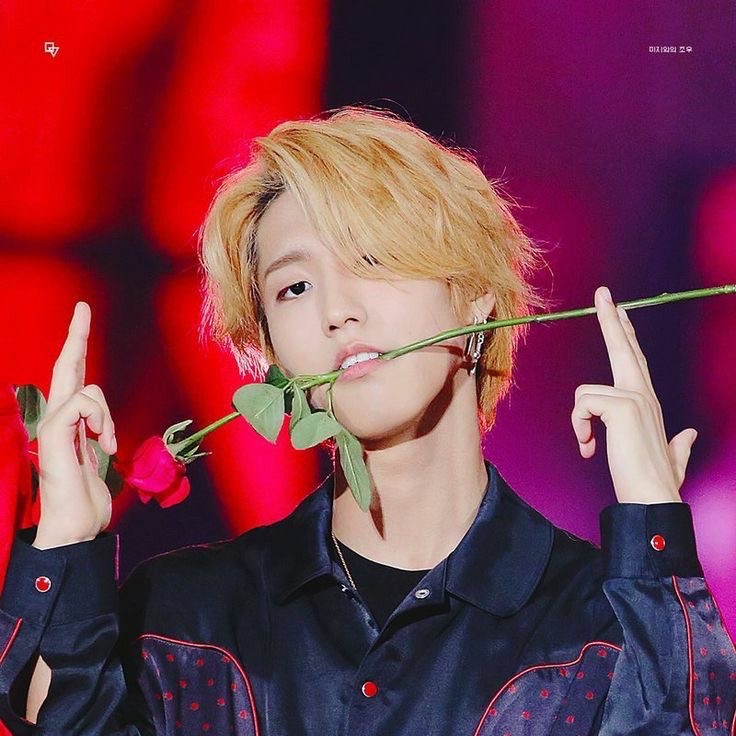 personally my FAVORITE jisung. something about the long blond hair- yes sir.