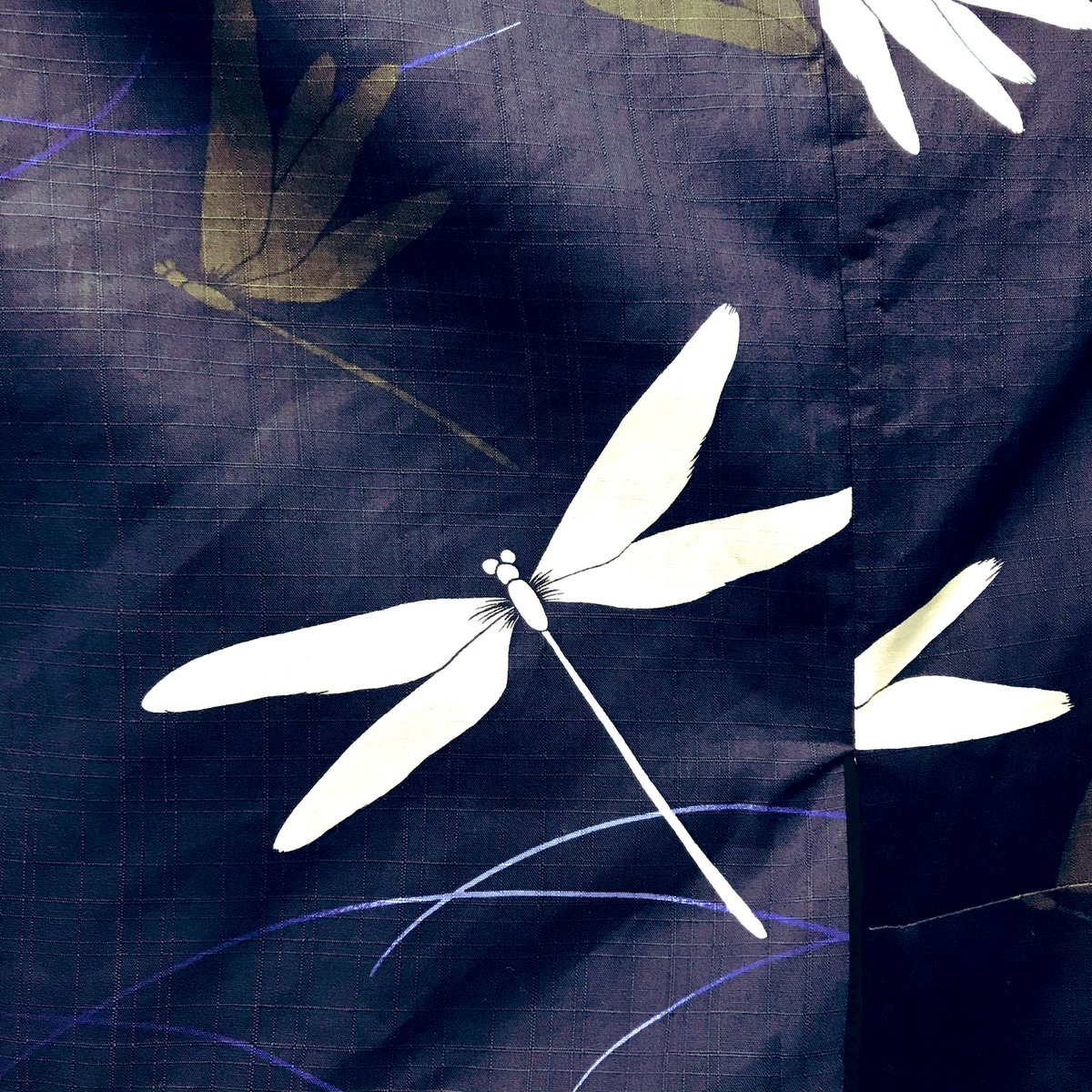 知絵子 Chiquito 着物と舞台写真とお酒 藤木屋 和柄の名前 蜻蛉 とんぼ 勝虫 かちむし と呼ばれ武士に好まれて 刀や陣羽織にもつかわれたそうな 菖蒲は 勝負 の語呂合わせだったり昔の日本人は面白いな 店頭はまさに蜻蛉浴衣でお出迎え中です