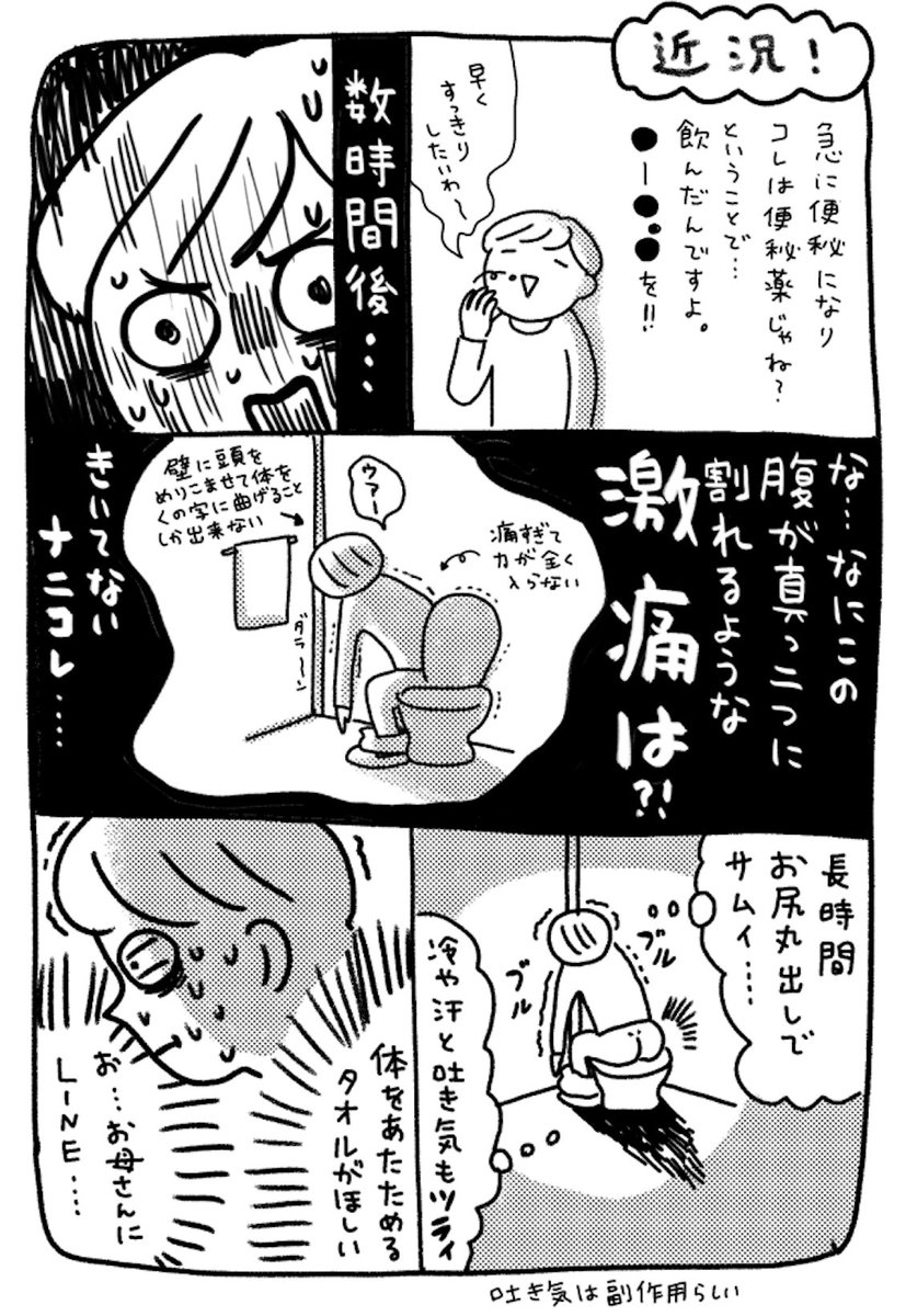 もう何年も前なんだけど今でも「痛かったな〜」って思い出す。これで痔も悪化したし・・・。
今はマグミット一択です・・・

#漫画が読めるハッシュタグ  #コミックエッセイ 