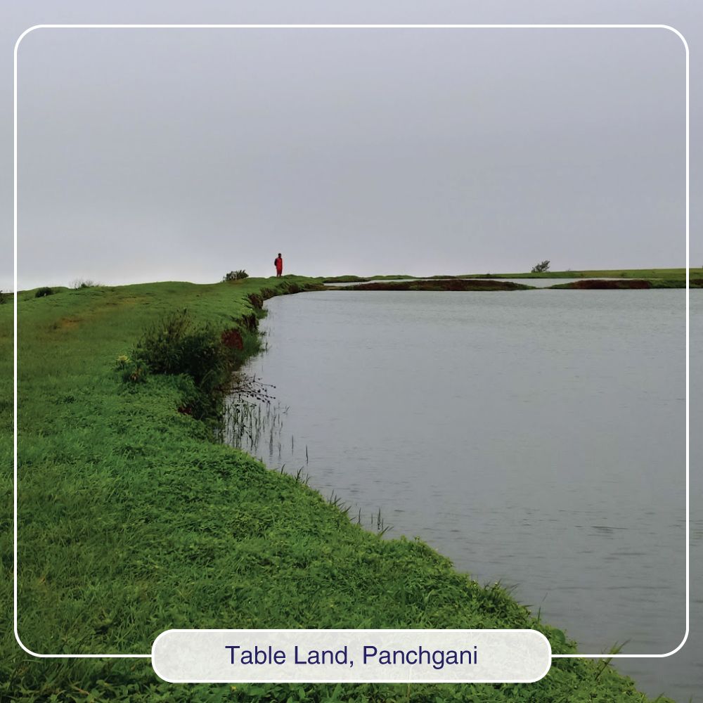 RavineHotel's tweet photo. Table Land, a 98-acre flat plateau that forms Panchgani’s highest point, it affords unobstructed views of the sunrise and sunset, panoramic views of the valleys and unending views of the green fir #forests. A must see if you are visiting #Panchgani. https://t.co/PNz254AYyW