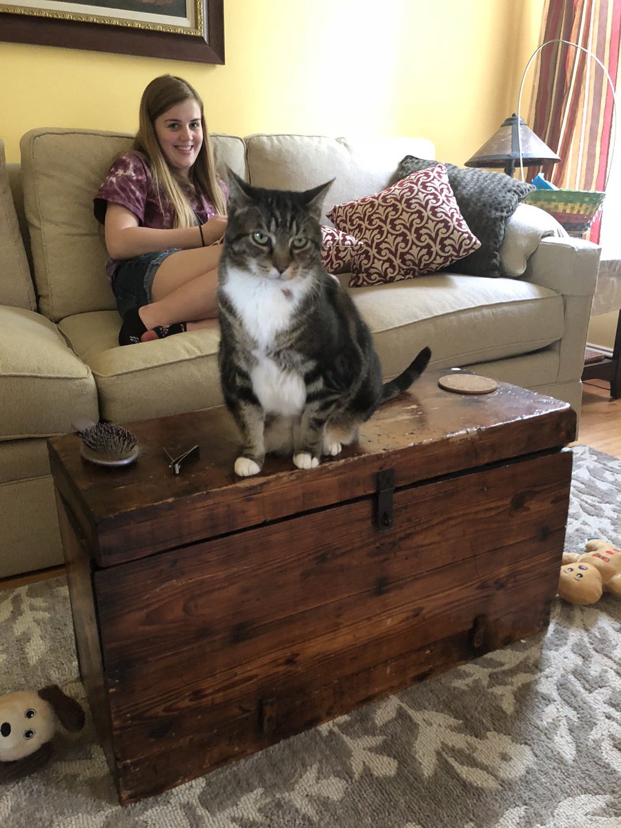 H-BOMB 🚀 tweet media