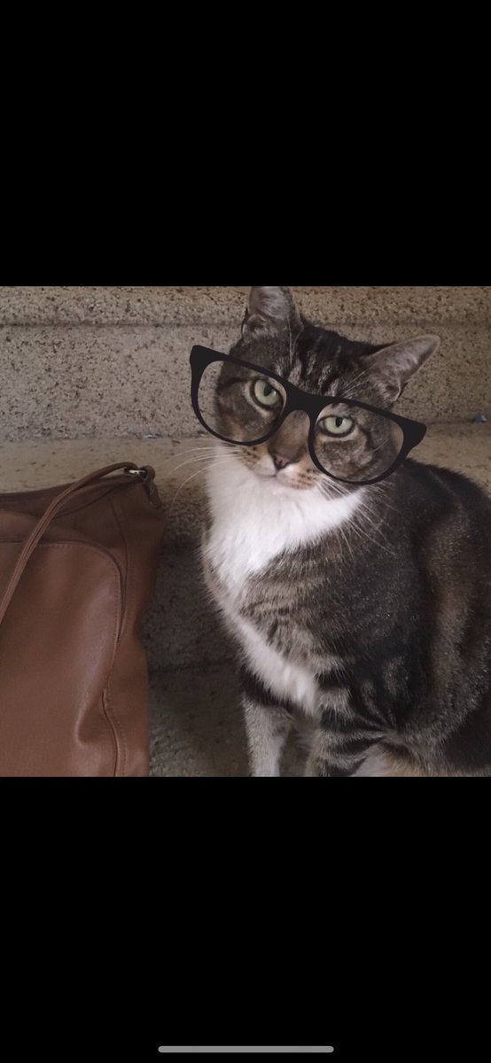 H-BOMB 🚀 tweet media