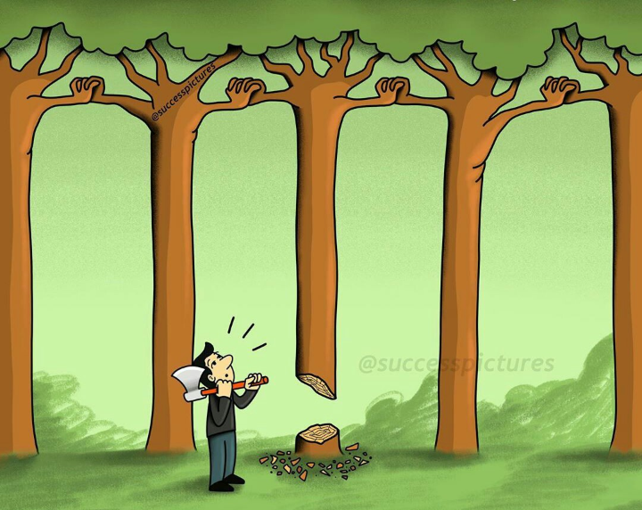 Team Asim Riaz Official 👑 tweet media