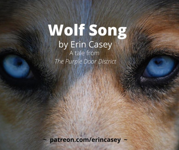 erincasey09's tweet photo. Wolf Song, the next short story in The Purple Door District series, is now available on https://t.co/1At1ni9P21
This story follows Kat and Bianca during the first year of their relationship.
#writingcommunity #patreon #urbanfantasy #werewolf #werebird #fantasy #amwriting https://t.co/QuSoJ0XqtC