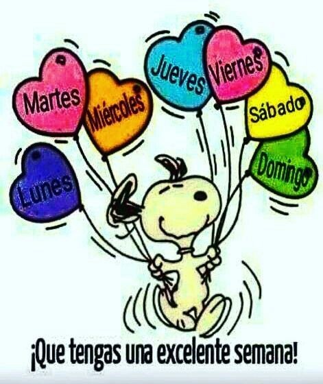 toñi mora on Twitter: toñi mora on Twitter: