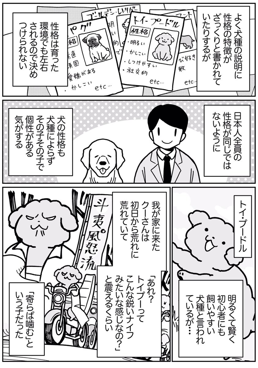 犬はいろんな性格の子がいて個性が豊か。

みんな違って、みんないい。 