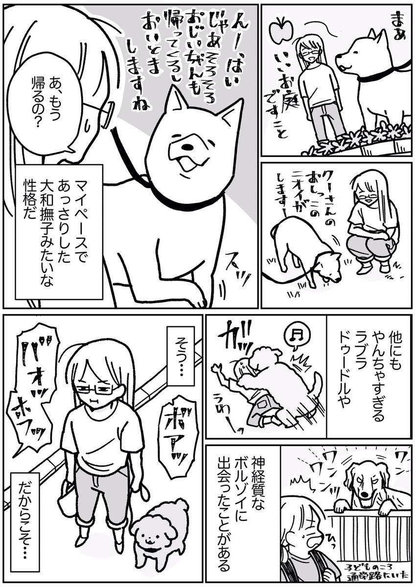 犬はいろんな性格の子がいて個性が豊か。

みんな違って、みんないい。 