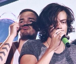 liam and harry being a iconic and underrated friendship; a thread