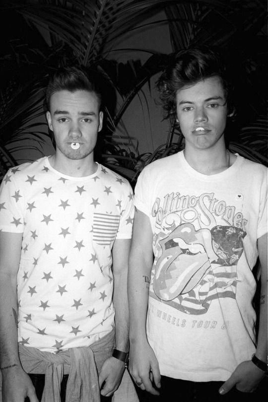 liam and harry being a iconic and underrated friendship; a thread