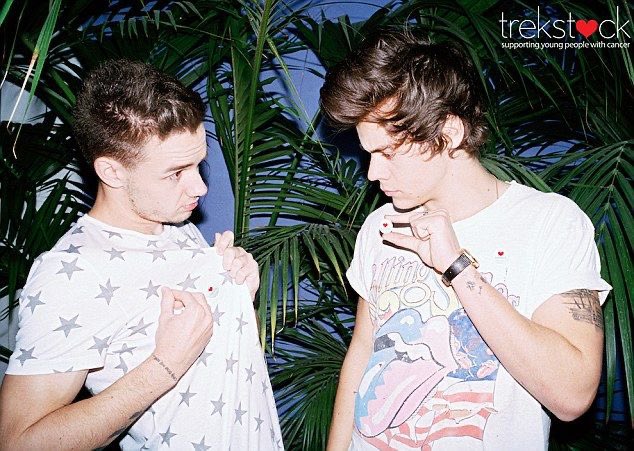 liam and harry being a iconic and underrated friendship; a thread
