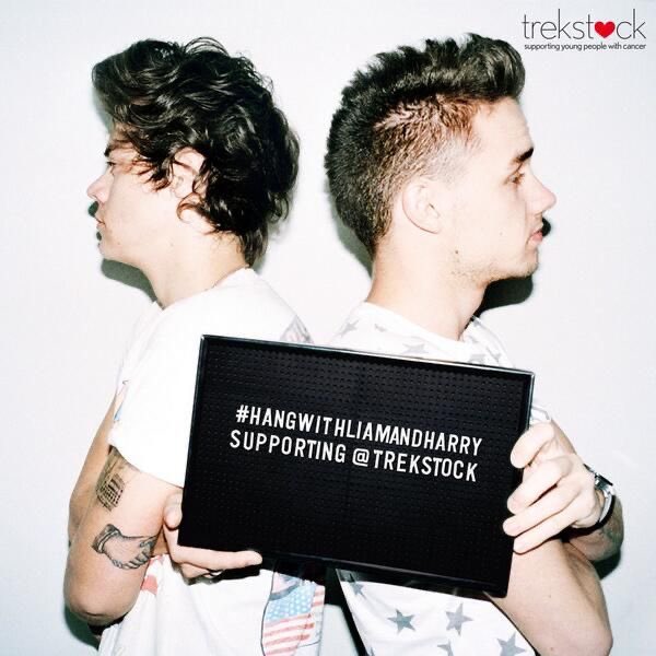 liam and harry being a iconic and underrated friendship; a thread