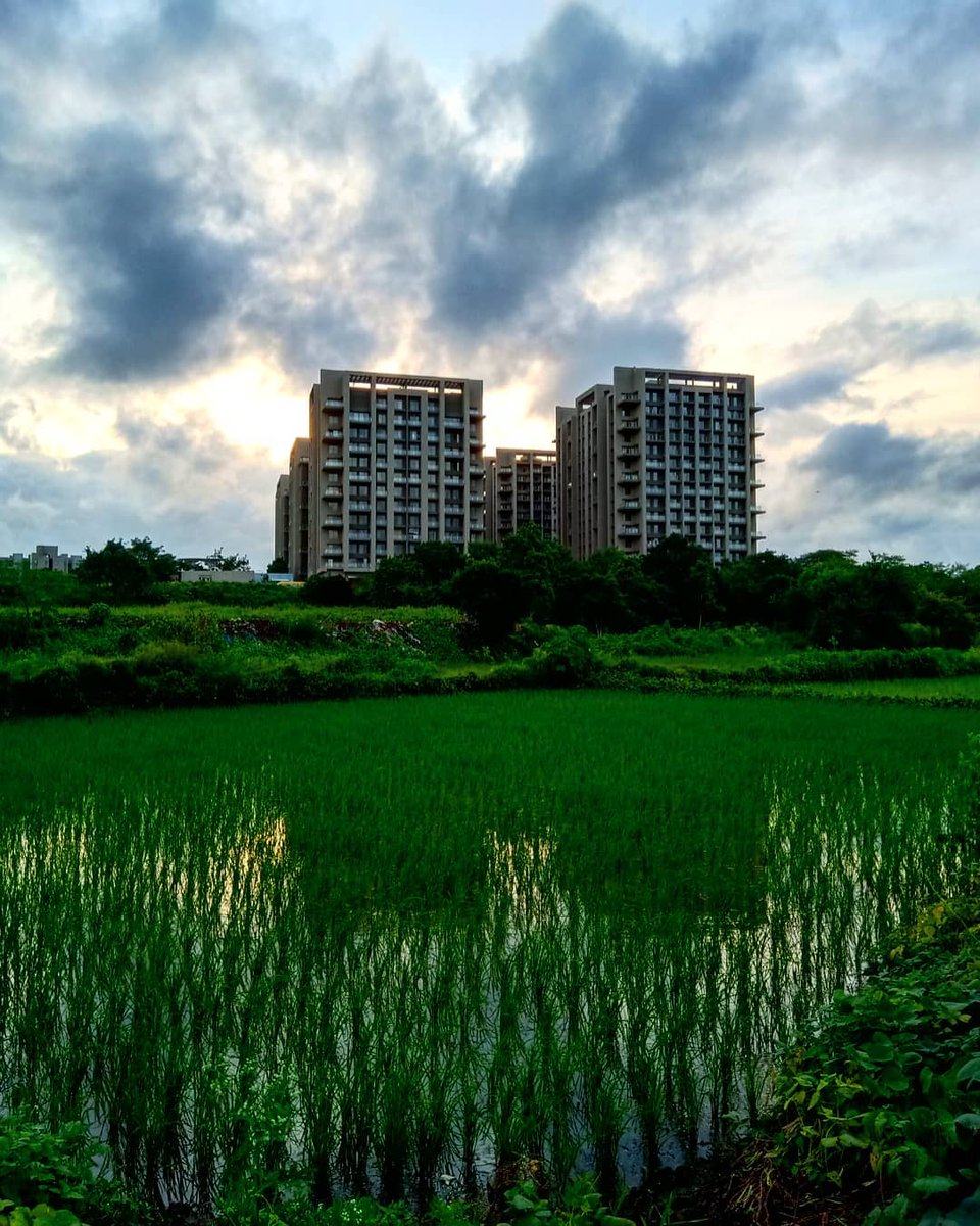 narwanerahul's tweet photo. Choose only one master—nature. —Rembrandt

#NaturePhotography #naturelovers #skyi 😀
🍀🌲🎋🌎🌨️
https://t.co/DfYThMOEBu https://t.co/wF98JuA06A