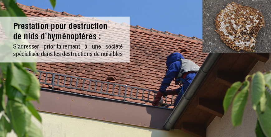 Service d'incendie et de secours du Bas-Rhin tweet media