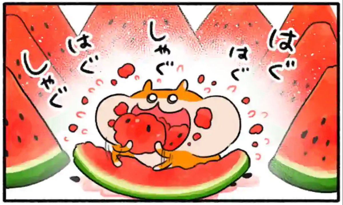 #マンガワン 更新??

「生きぬけ!爆走!クソハムちゃん」
45話&先読み46話が更新されました?45話はオムニバスなので、ストーリーを追っていなくても大丈夫です!??

https://t.co/yhXH5RFz8u

#生きぬけ爆走クソハムちゃん
#クソハムちゃん 